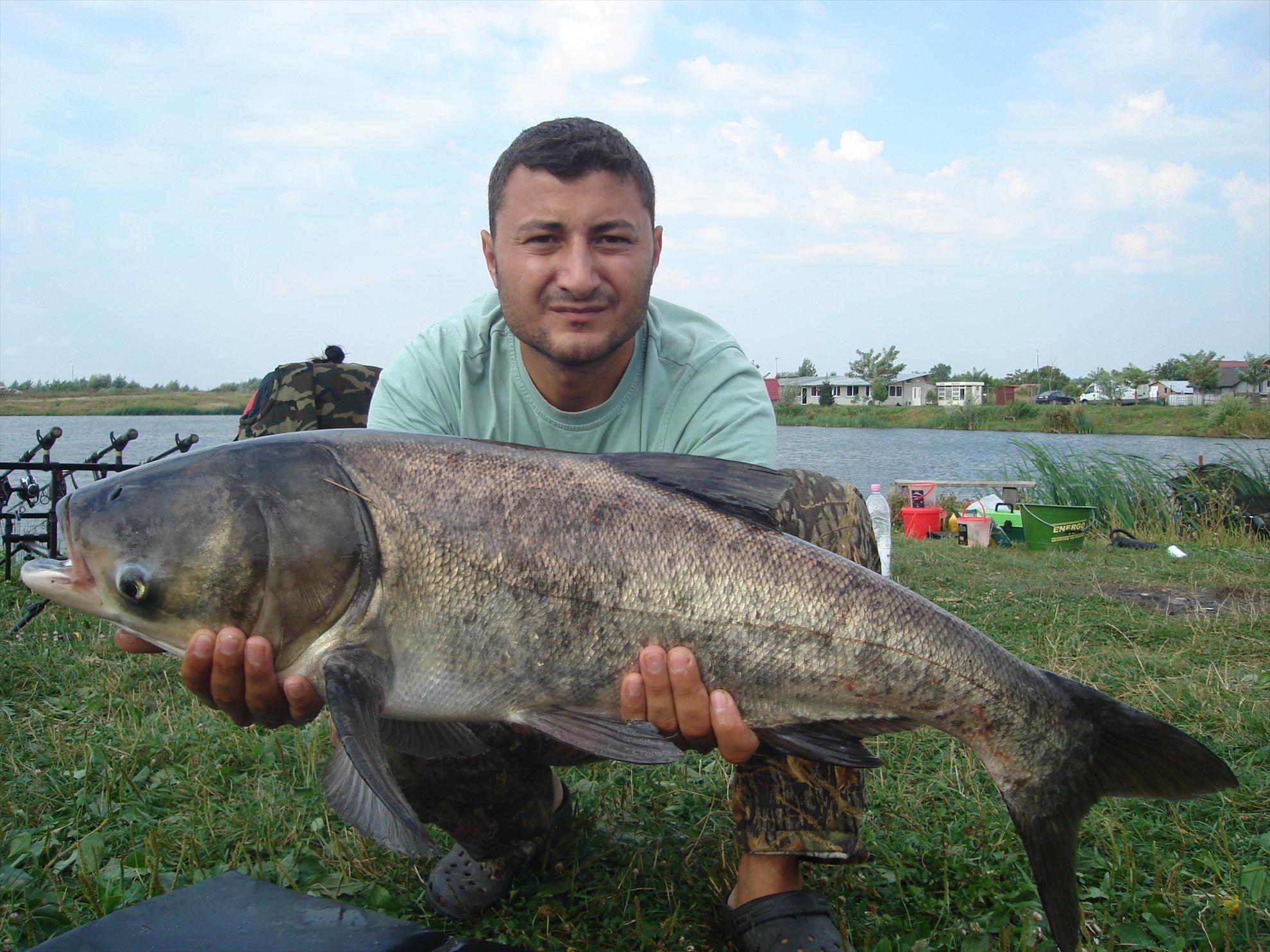 Diverse - dsc02520.JPG